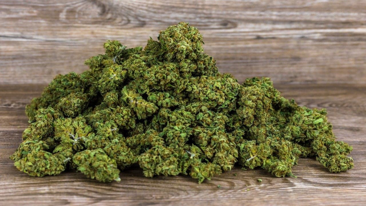 Technologische Fortschritte im Anbau von double cheese strain